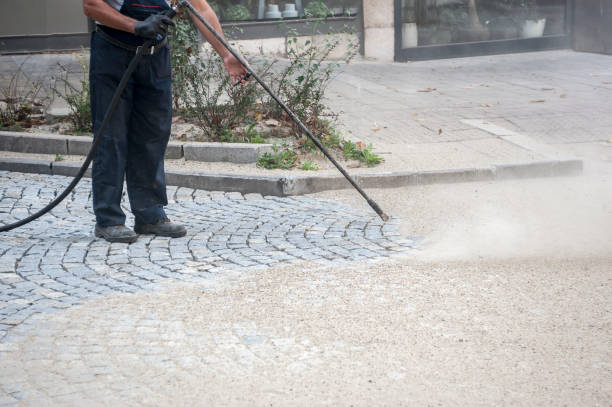 Best Roof Washing  in Tyro, NC