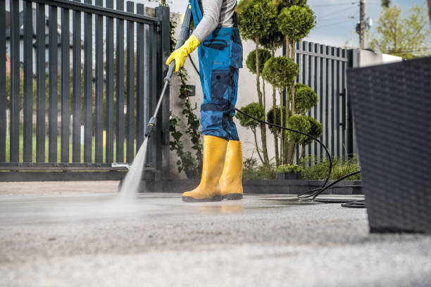 Best Soft Washing  in Tyro, NC